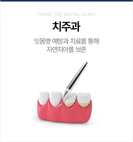 치주과